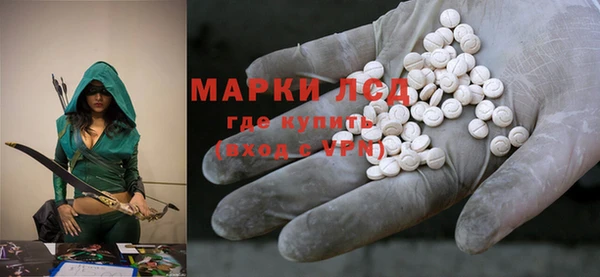PSILOCYBIN Липки