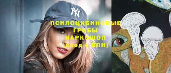 PSILOCYBIN Липки