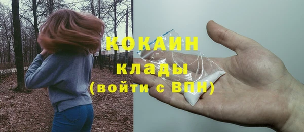 PSILOCYBIN Липки