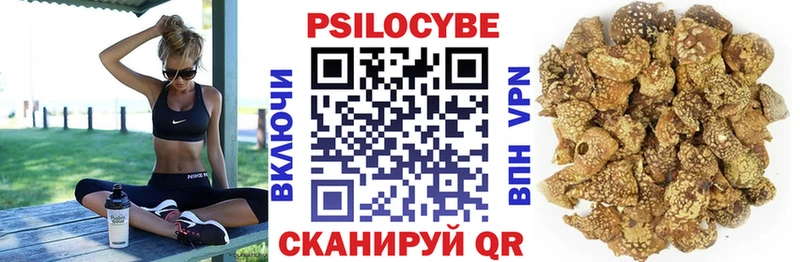 Псилоцибиновые грибы Cubensis Янаул