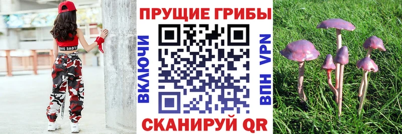 Галлюциногенные грибы мицелий Янаул
