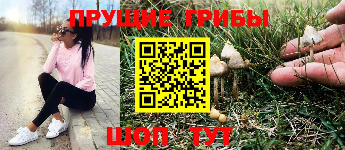 Галлюциногенные грибы GOLDEN TEACHER Янаул
